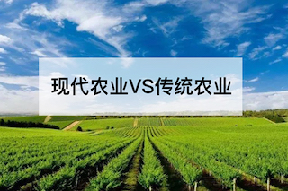 现代农业VS传统农业，谁会更胜一筹？