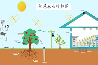 智慧农业种植中，需要用到哪些传感器？