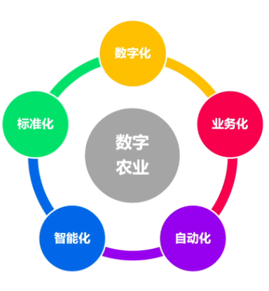 对数字农业的理解.png