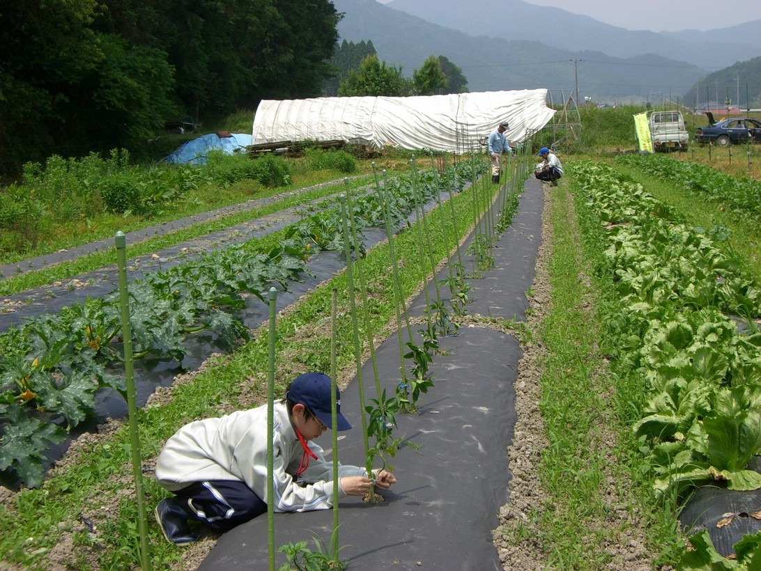 我们可以借鉴美国、日本的农业发展模式，寻找属于自己的农业发展道路。.jpg